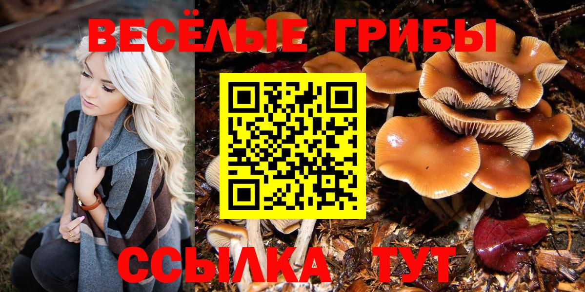 Псилоцибиновые грибы Magic Shrooms Чернушка